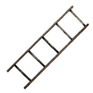 vintage_ladder_1