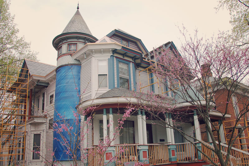 vivacious_victorian6