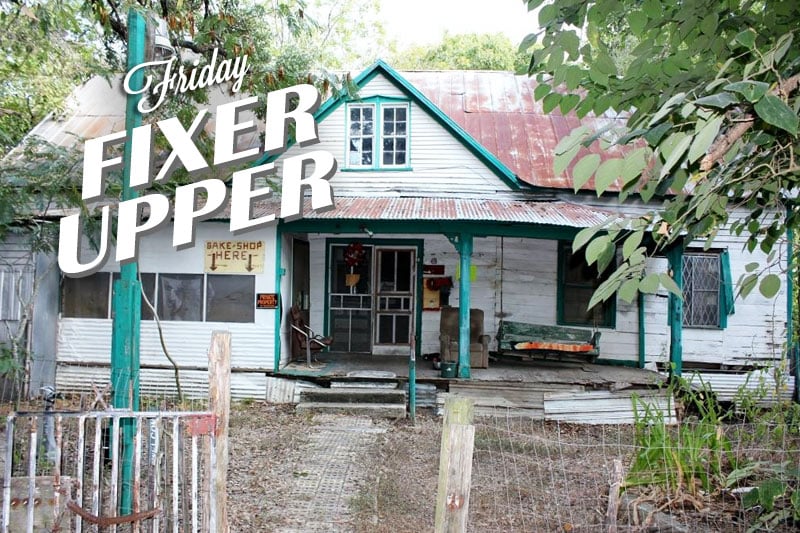 A Quirky Bakery & Taxidermony Shop Need Some Fixin'!