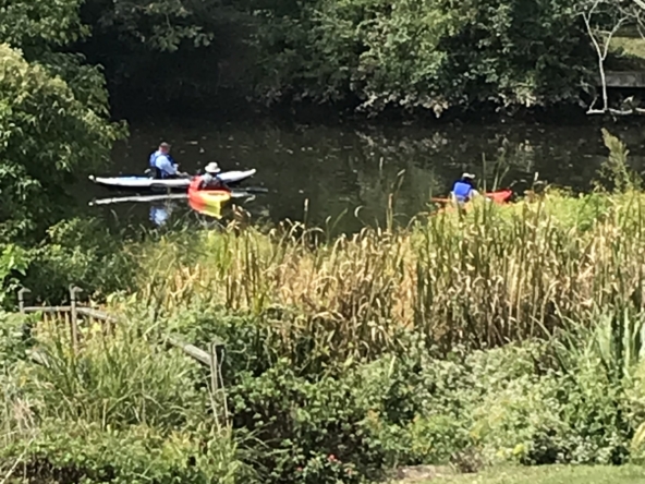 Kayaks on Riv