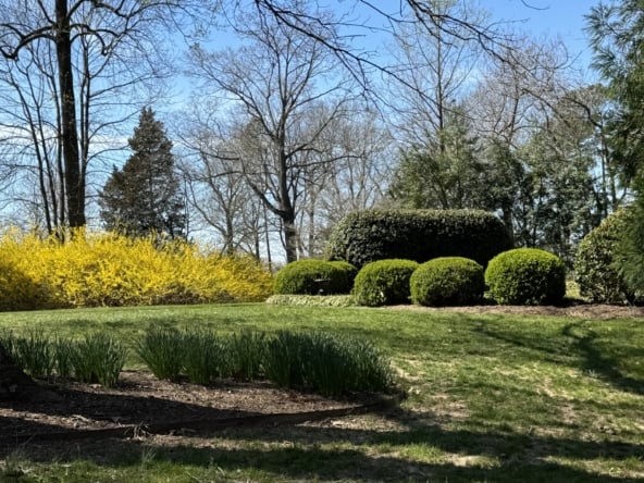 Mount Pleasant Landscaping 3 24