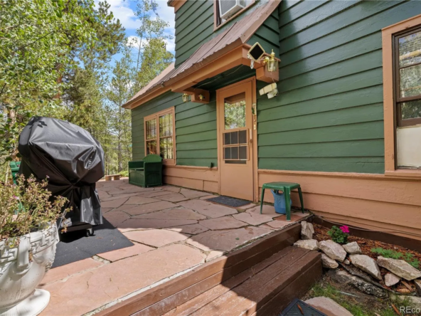 1849 Ridgeview Dr, Leadville, CO 80461-22