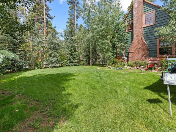 1849 Ridgeview Dr, Leadville, CO 80461-26