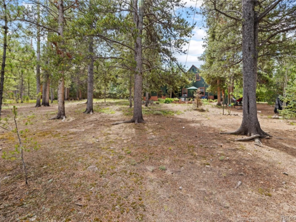 1849 Ridgeview Dr, Leadville, CO 80461-29