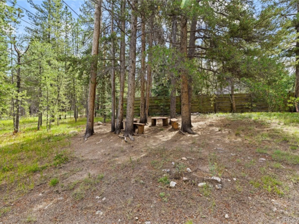 1849 Ridgeview Dr, Leadville, CO 80461-30