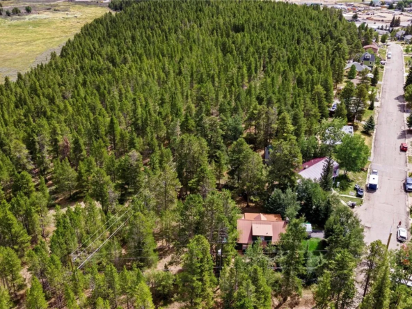 1849 Ridgeview Dr, Leadville, CO 80461-34