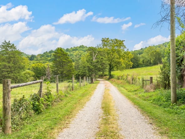 5-web-or-mls-2179 Hiwassee Road-67