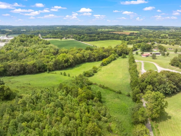 75-web-or-mls-2179 Hiwassee Road Drone-8