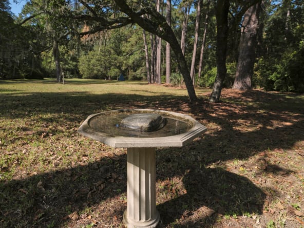 Bird bath, front yard