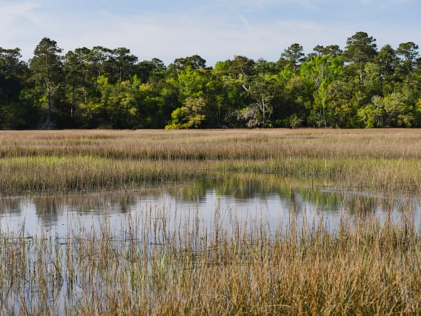 Creek view to botany Bay Preserve