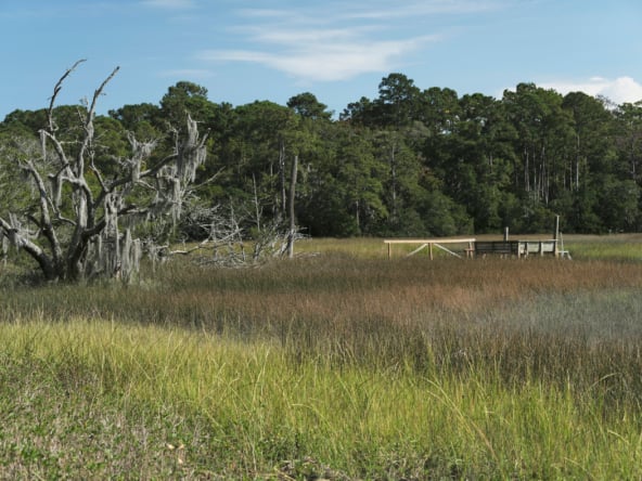 creek view w live oak