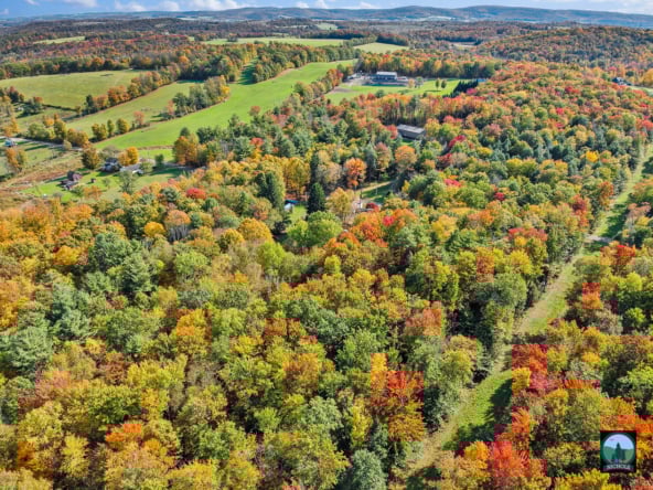 DJI_20241011143433_0009_W