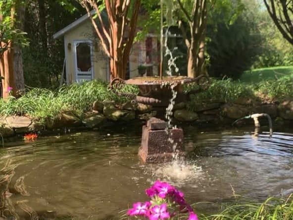 KoiPond4