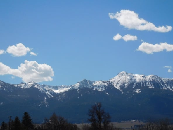 Reitman new mountain pic