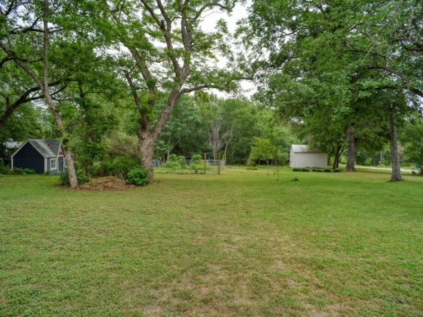 side yard 2 (1)