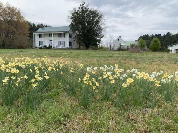 Clearview