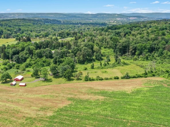 030-484750-DJI_0675