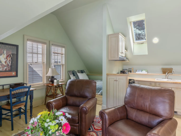 451 W Galena Ave, Telluride, CO 81435-24