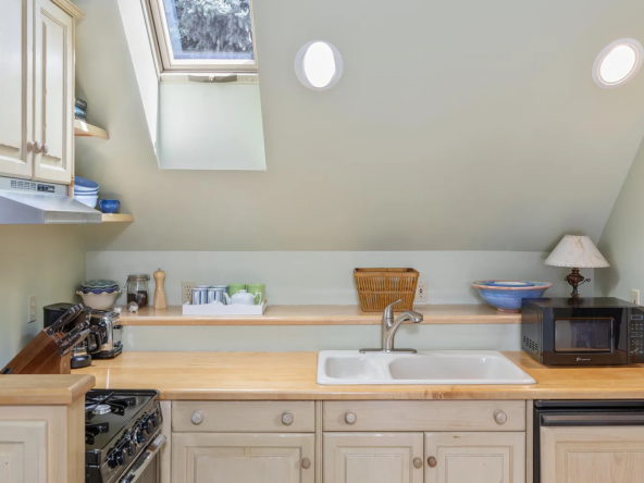 451 W Galena Ave, Telluride, CO 81435-26