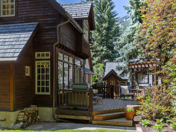 451 W Galena Ave, Telluride, CO 81435-31