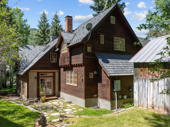 451 W Galena Ave, Telluride, CO 81435-38
