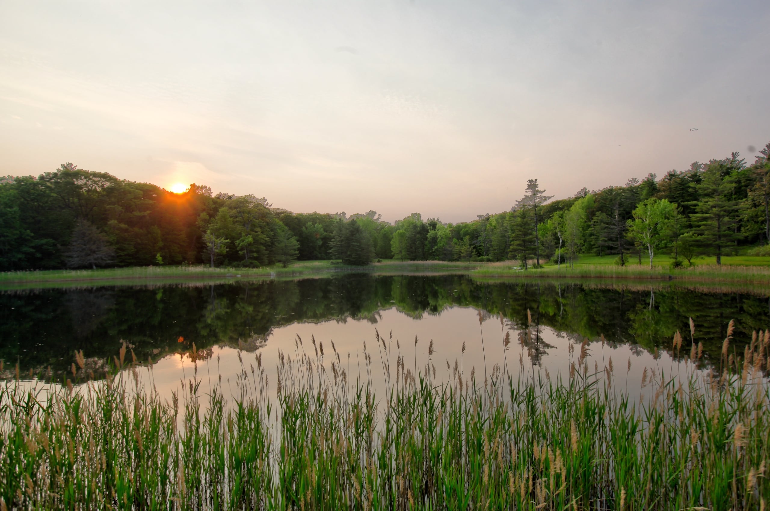 07the Pond at twilight_WPSIRLCF