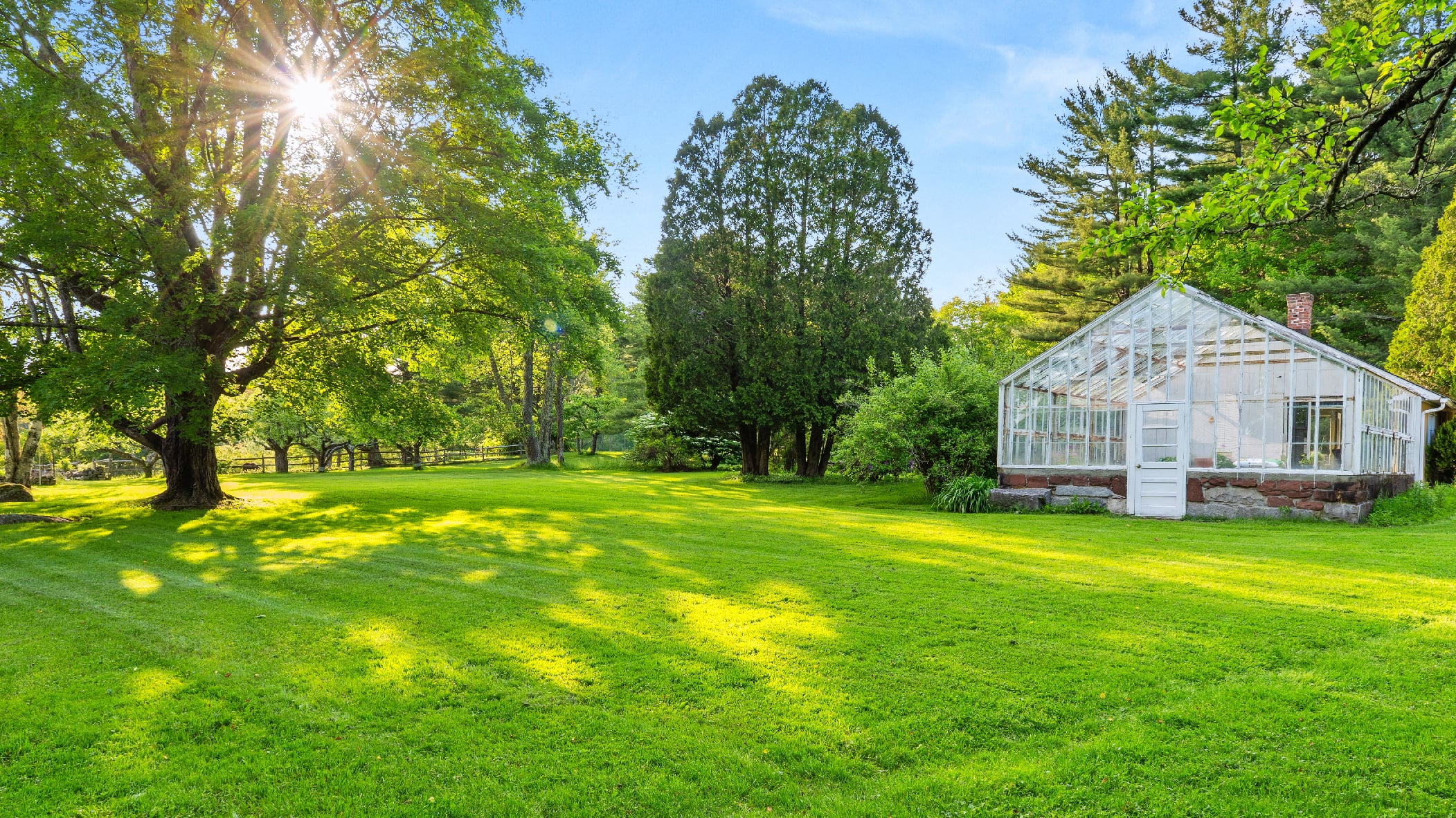 38the greenhouse_WPSIRLCF
