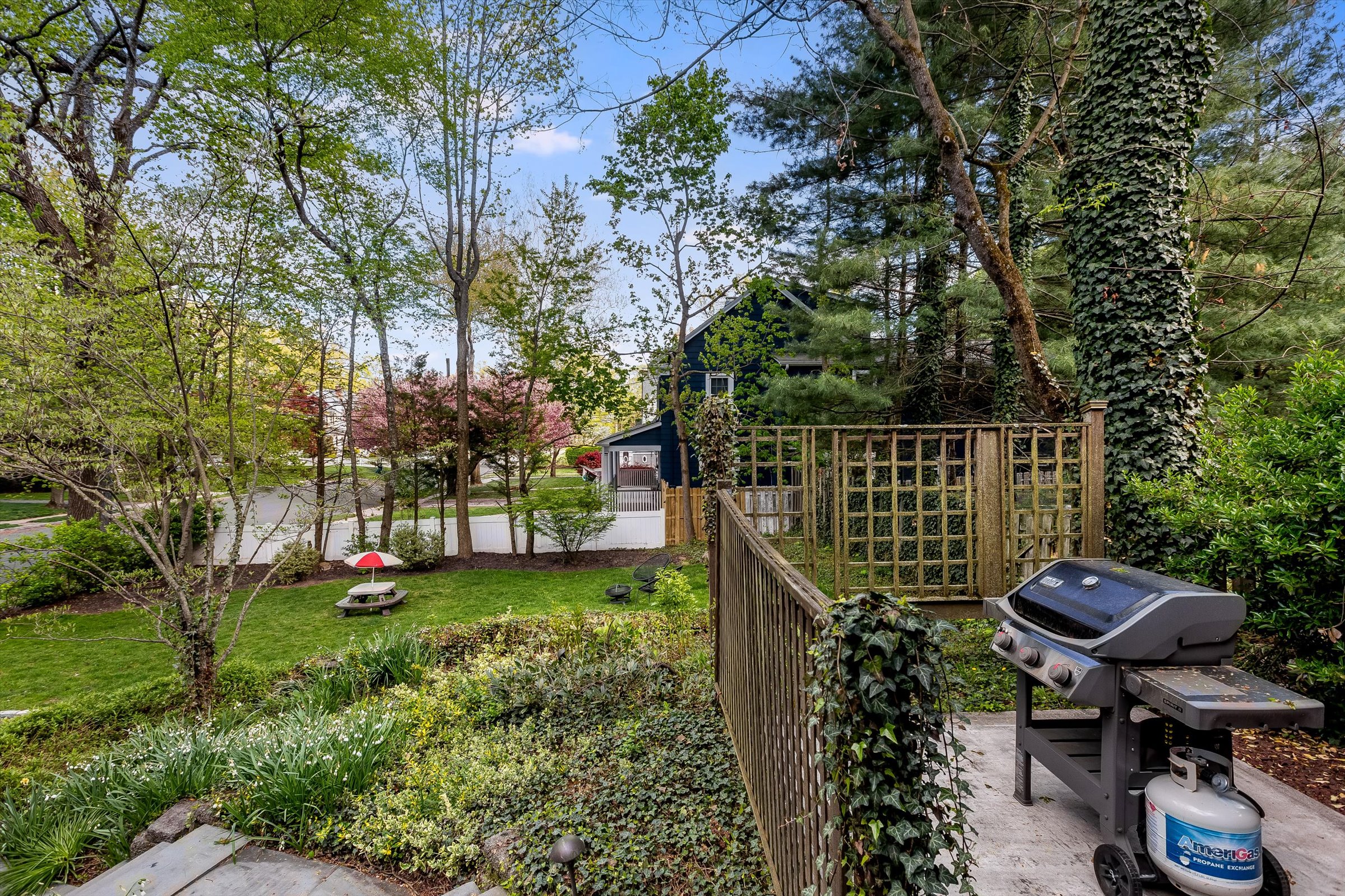 55-Backyard