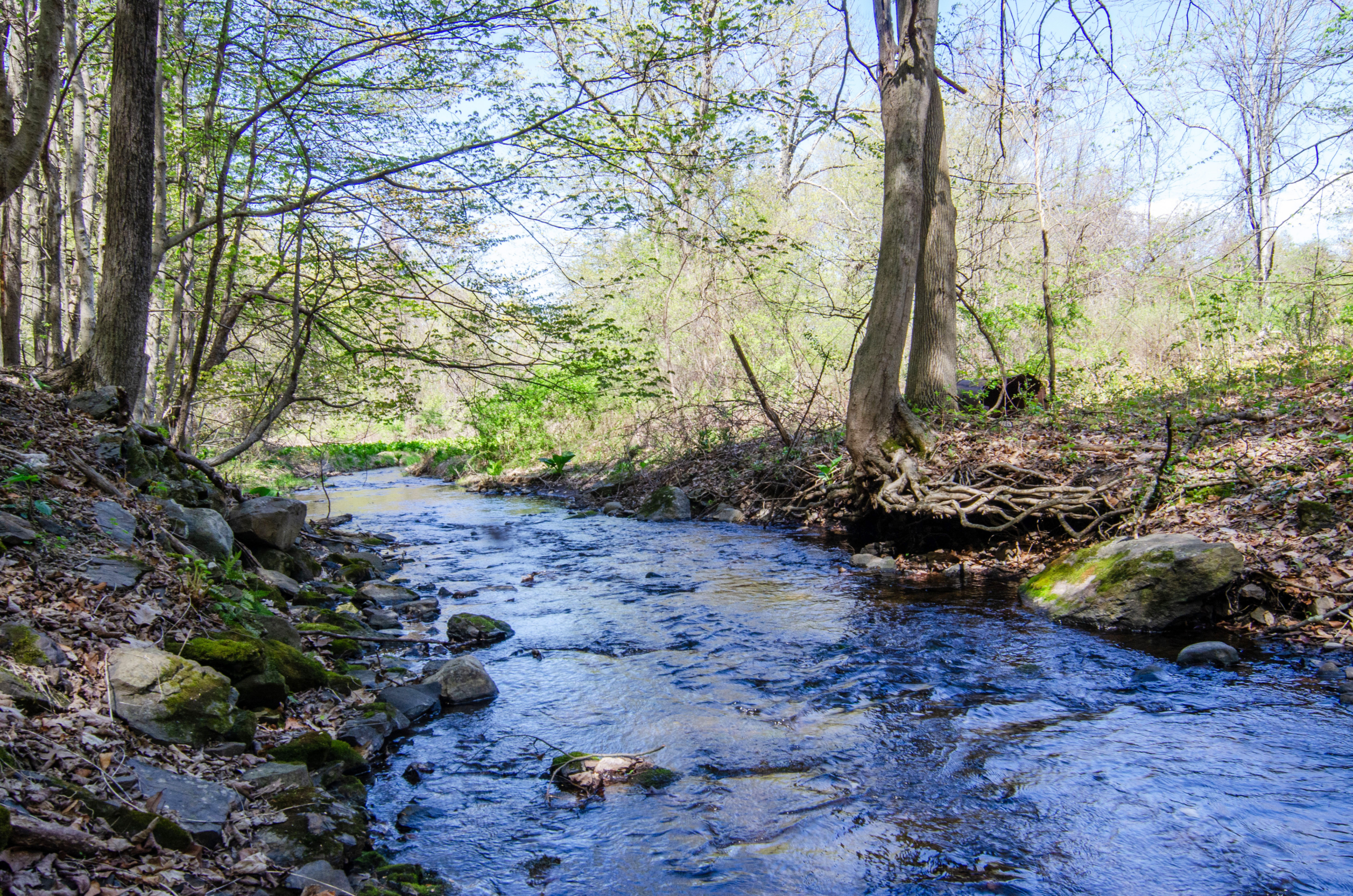 15.Stream copy 2