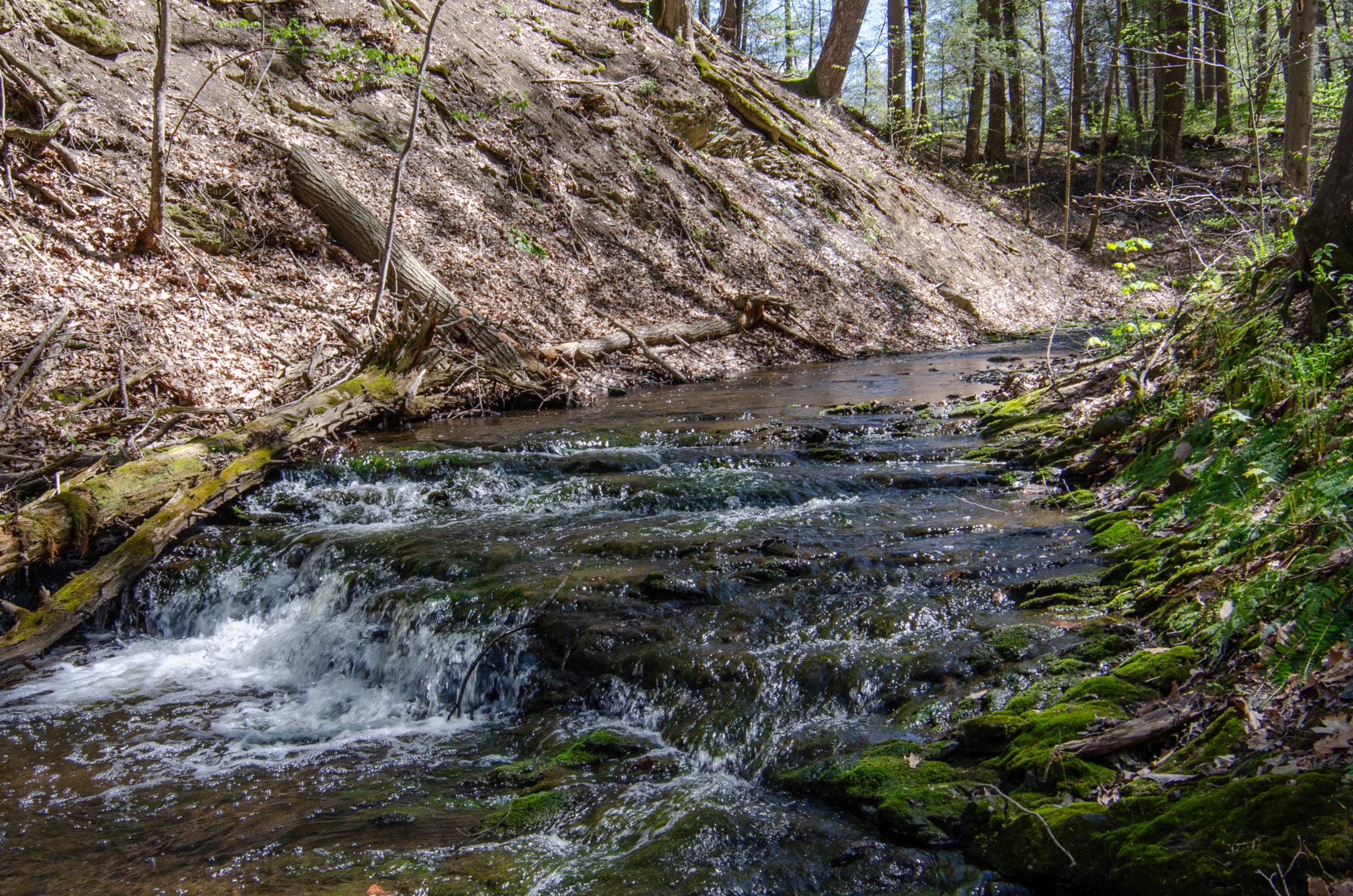 16.Waterfall copy