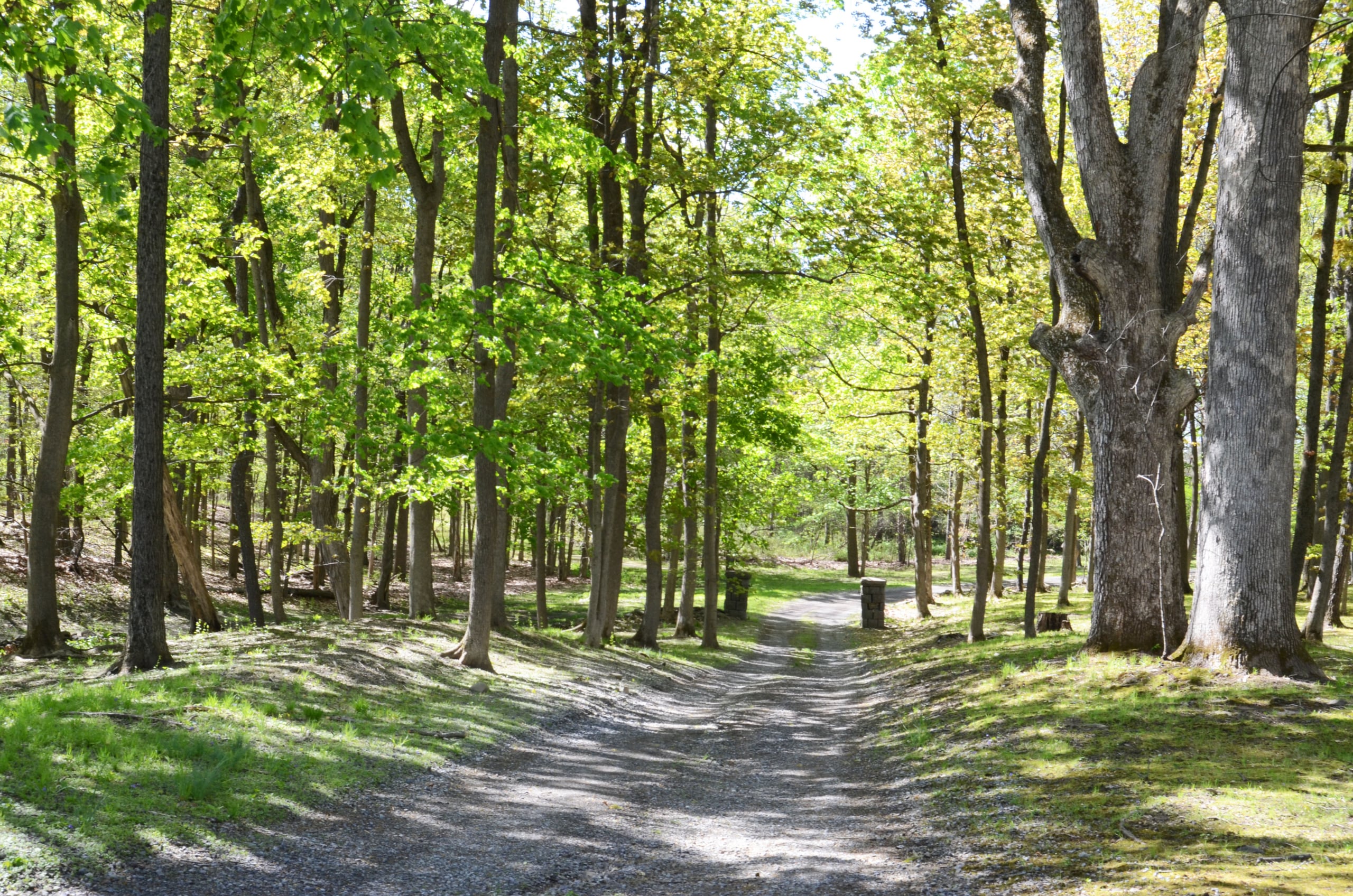 19.Path copy