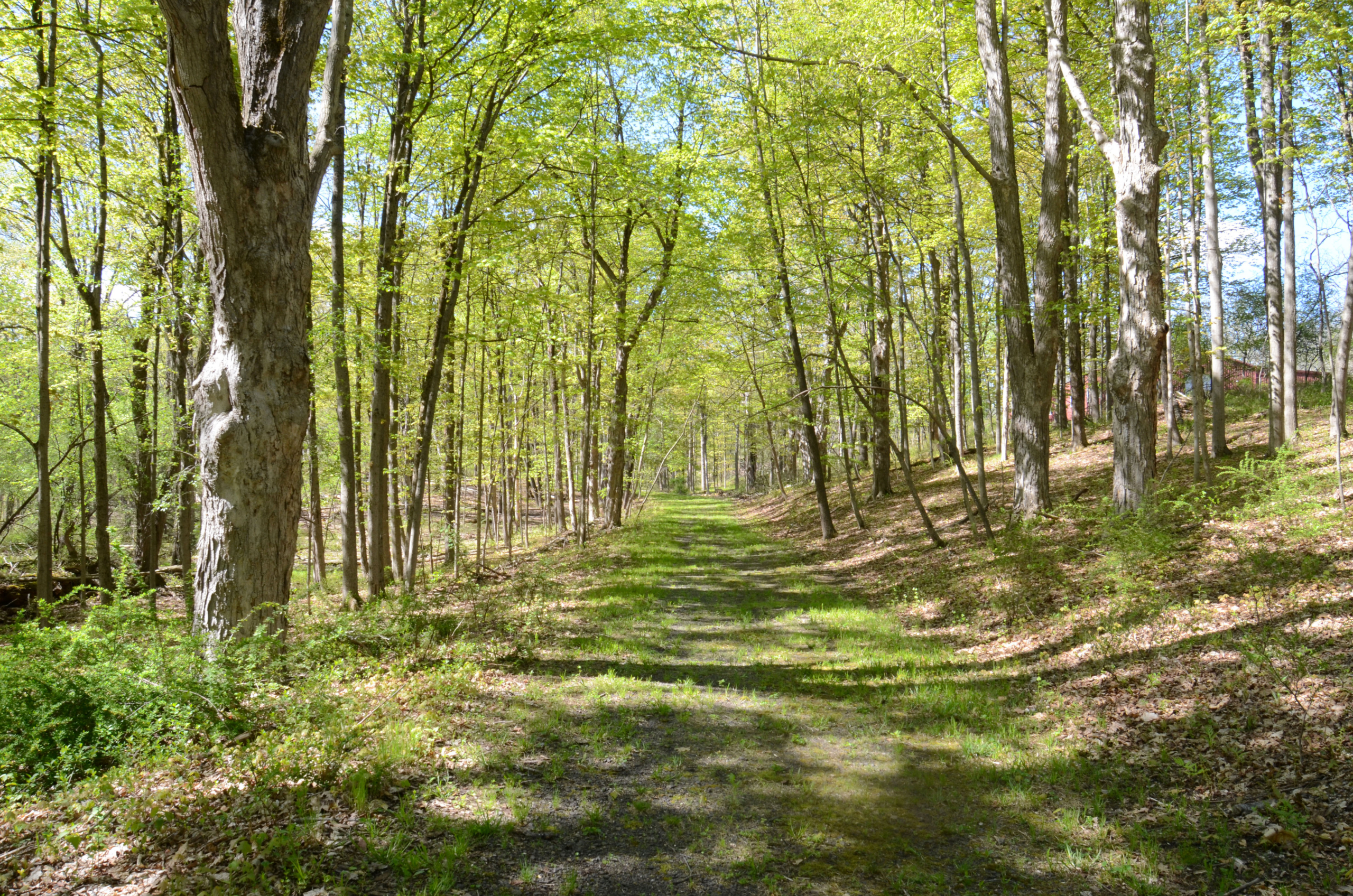 20.path copy