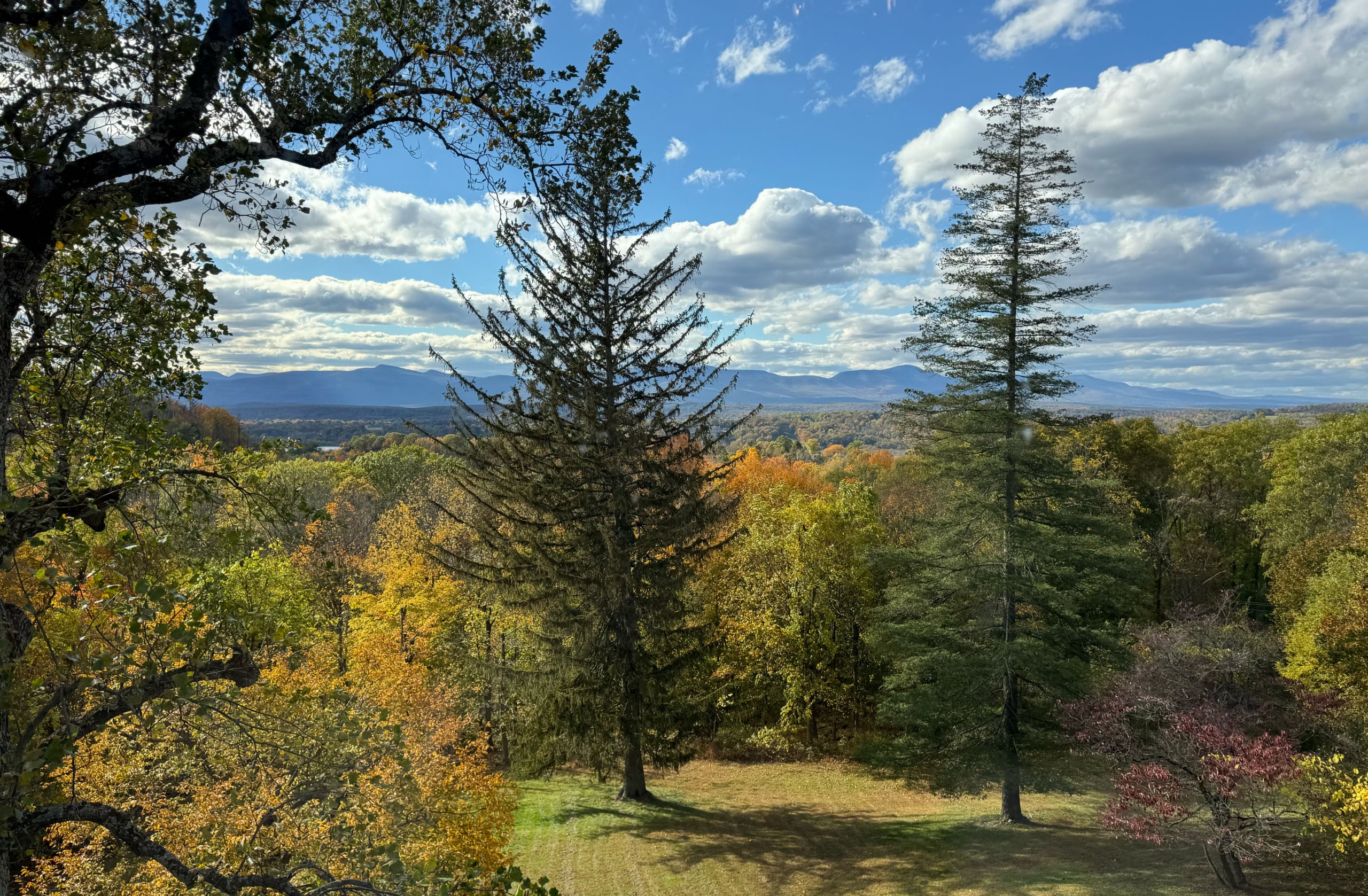 5.Catskill View copy 2