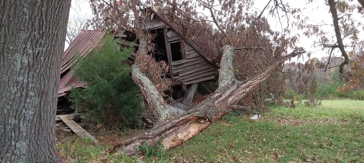 4-2022-11-Bartlett-Yancey-House-office-tree-limb-damage_Maury-Van-Buren