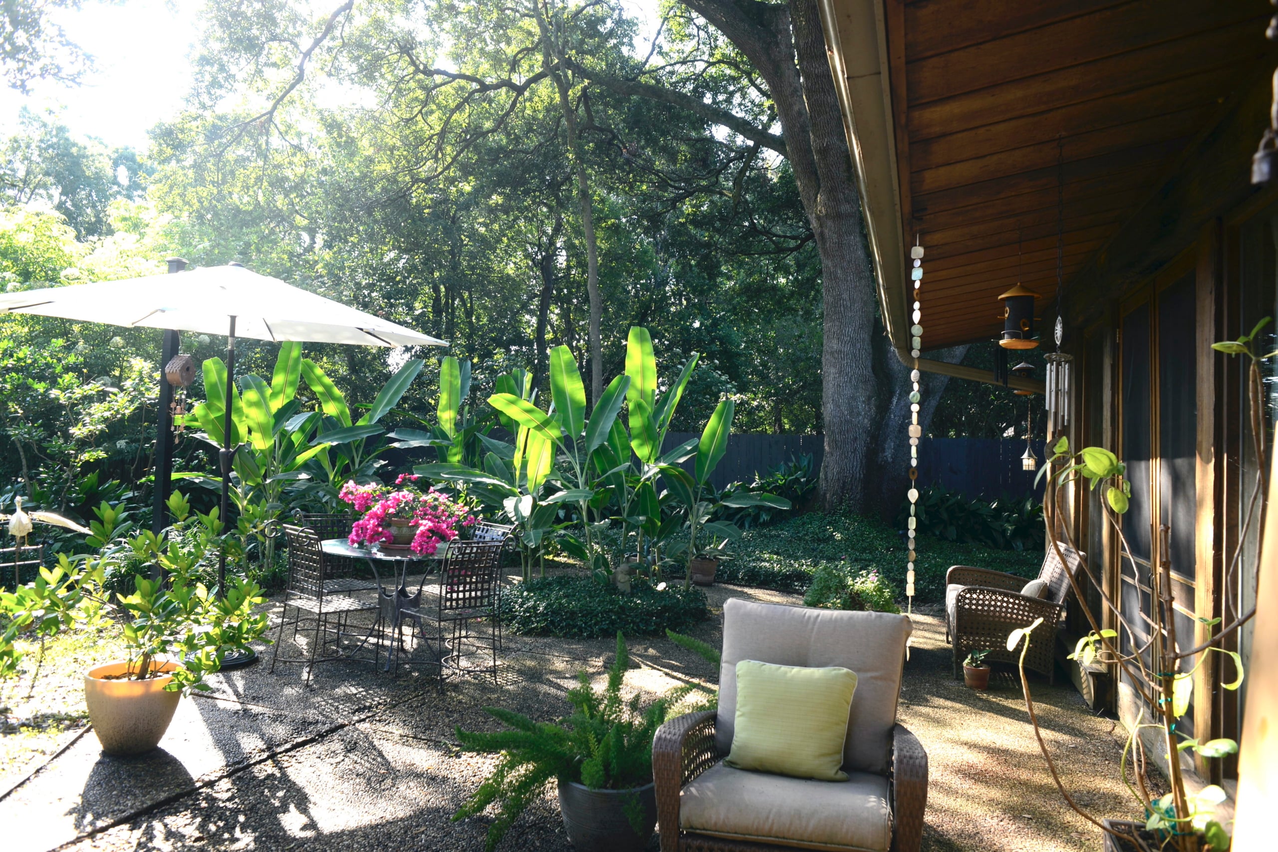 Backyard 2