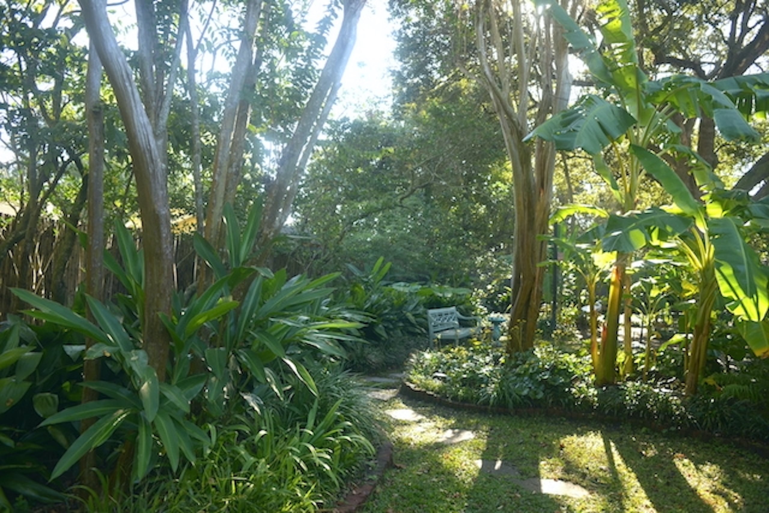 Backyard 4A