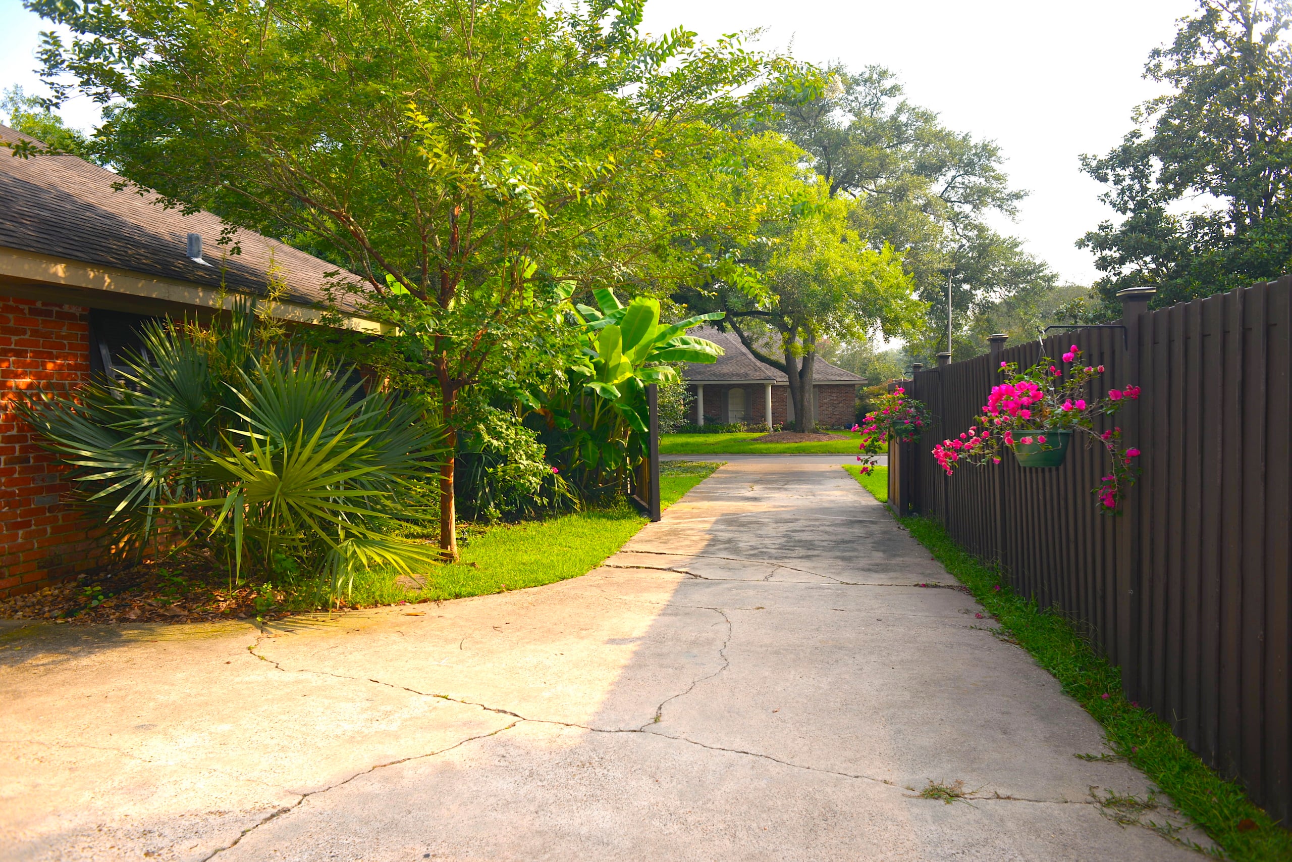 Driveway Out