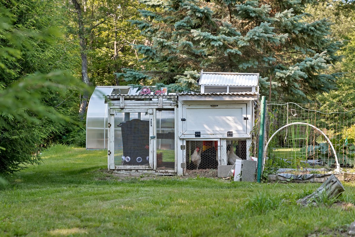 231 North Rd-93