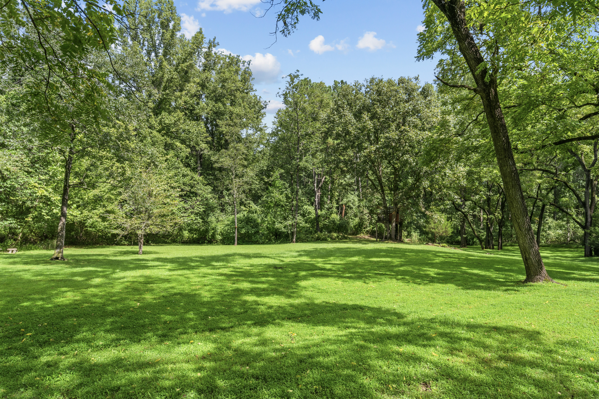 29 lawn