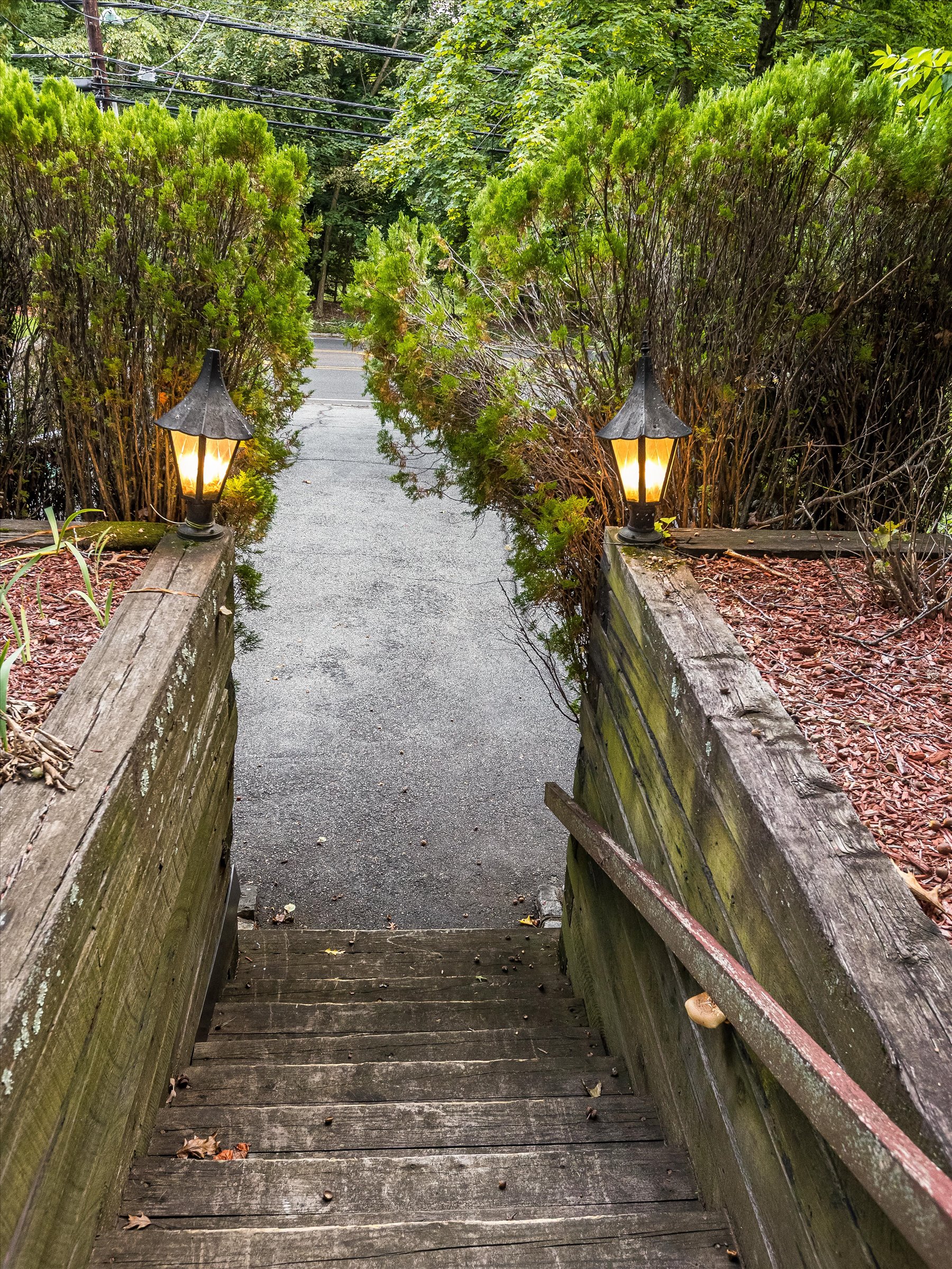 56-Stairs to Backyard