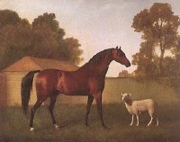 debphillips70